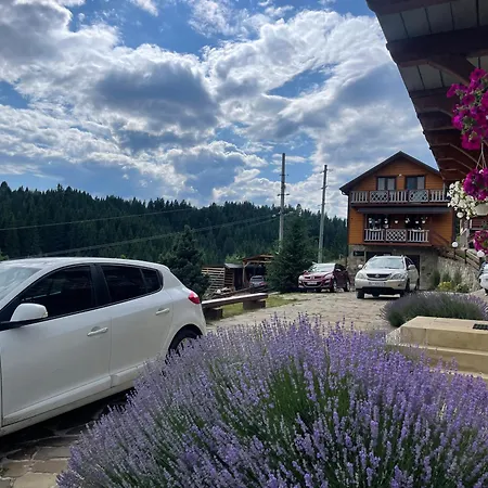 Family Holiday home Yablunytsya